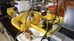 �����ƌW�Ұl������늳� �������_��15��